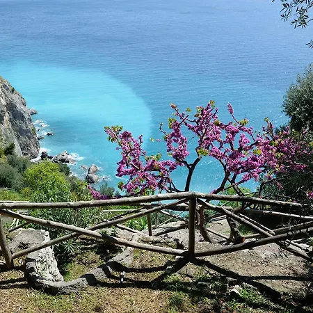 Sirenetta Διαμέρισμα Αμάλφι